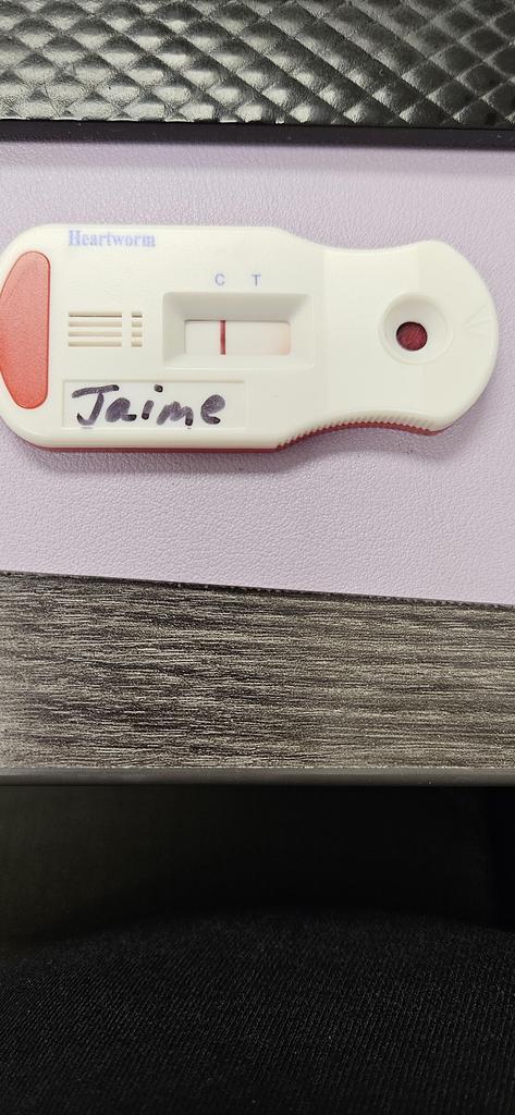 Jaime