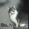 Sully photo 2
