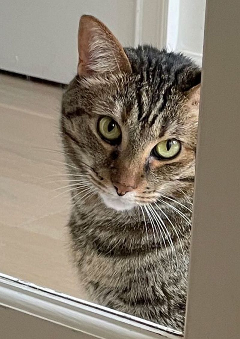 SIENNA