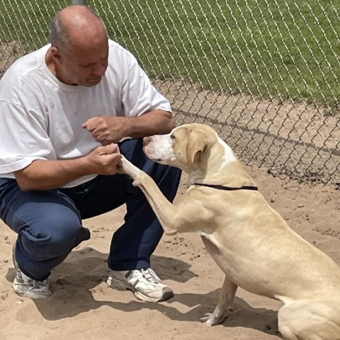 Moony 240330, an adoptable Mixed Breed in Escanaba, MI, 49829 | Photo Image 4