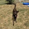 Oakley-Rover photo 2