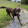 Oakley-Rover photo 6