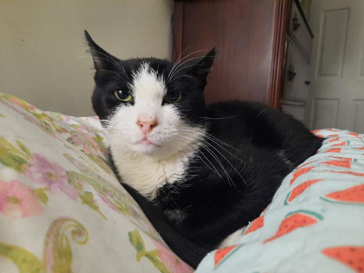 Zeke - Sweet & Lovable Soul 1