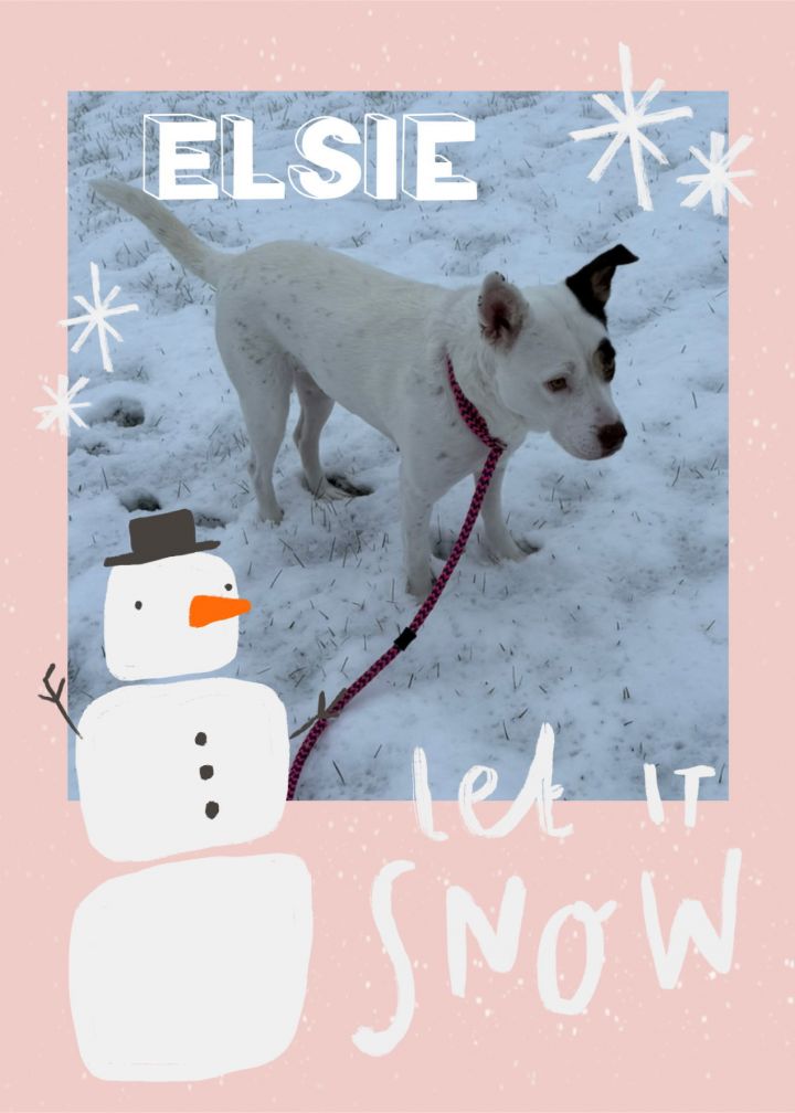Elsie 1