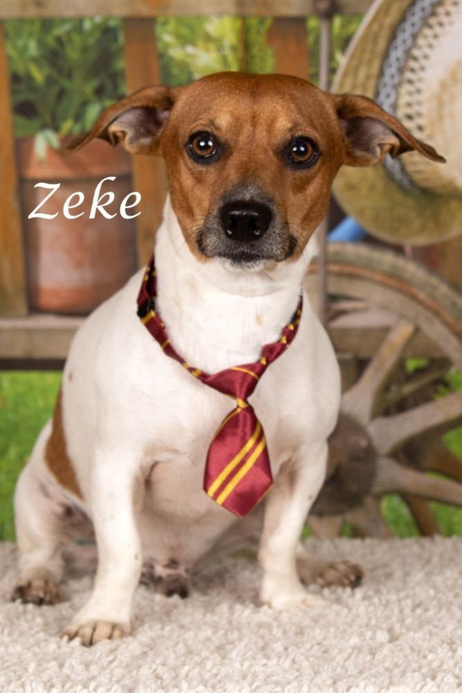 Zeke