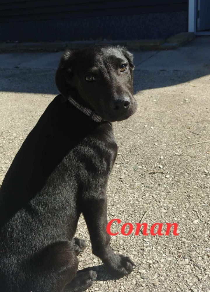 Conan 2