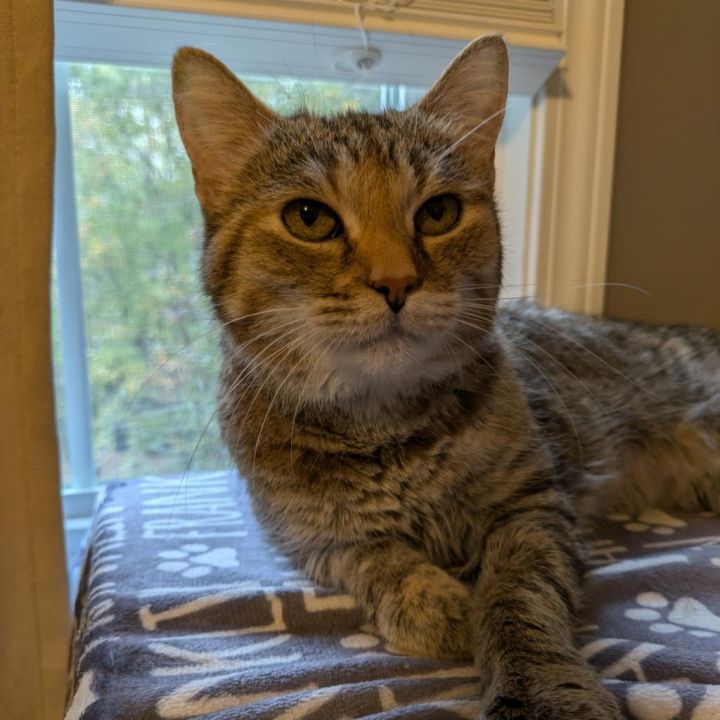 Chloe 1