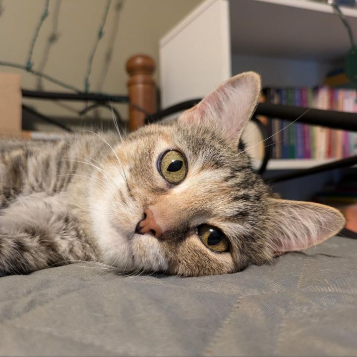 Chloe 3