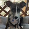 Buster photo 4