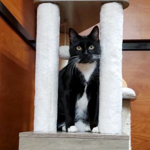 Faith, Senior Female unknown