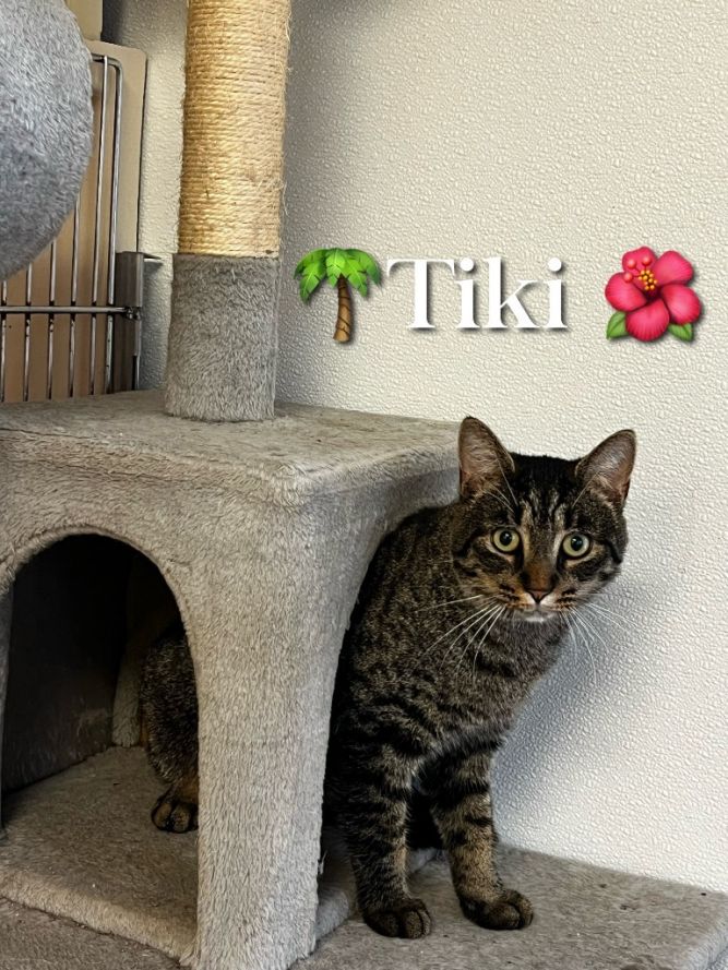 Tiki