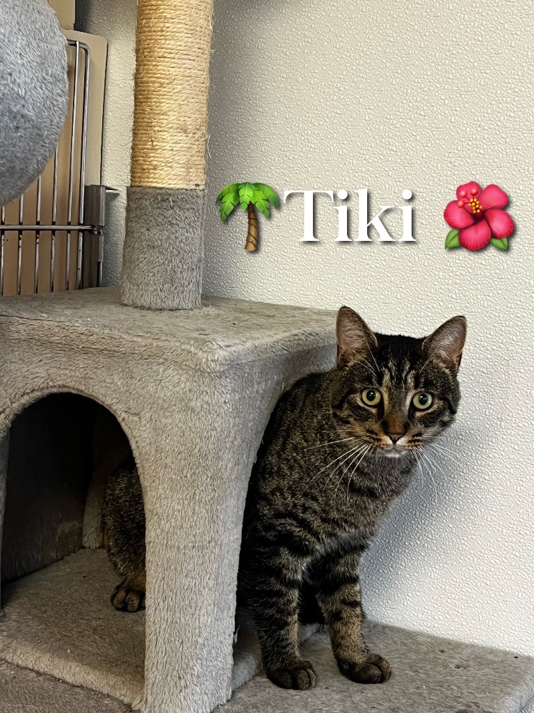 Tiki