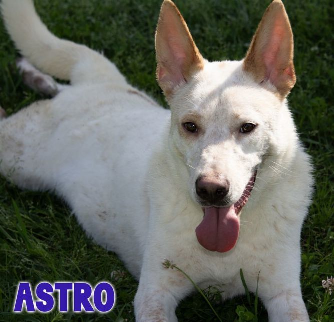 Astro