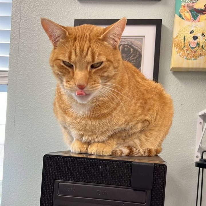 Sir. Milo III