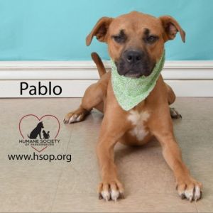 Pablo