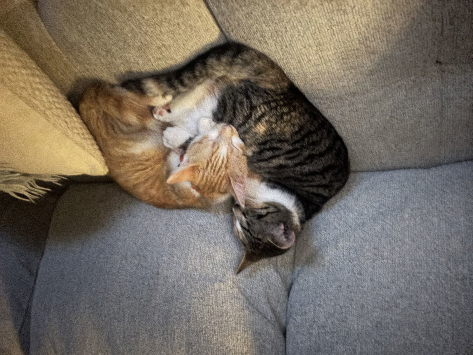 Cali & Sunny