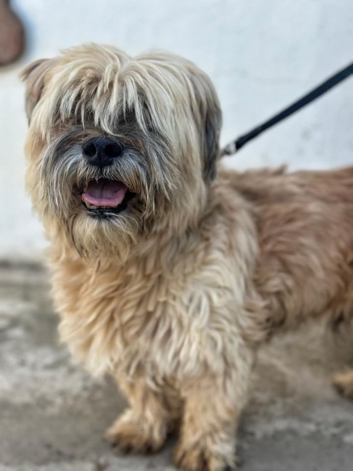 Oscar 1