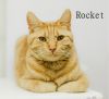 ROCKET photo 2