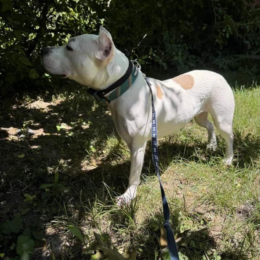 Tallulah