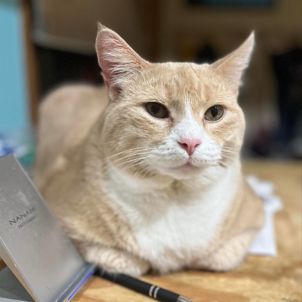 Darwin