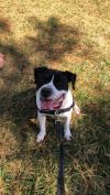 Wade *Partial Sponsored Adoption