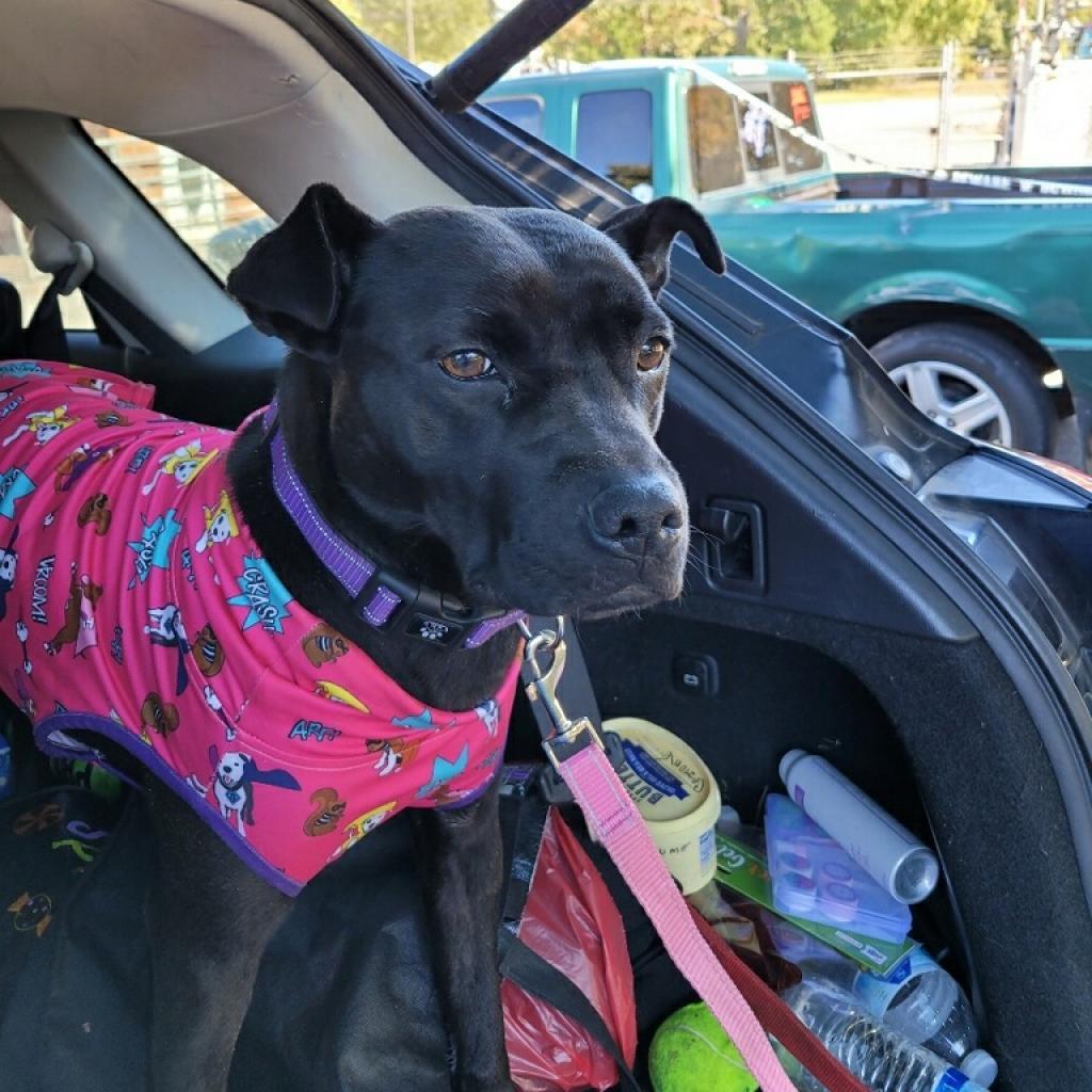 Coco