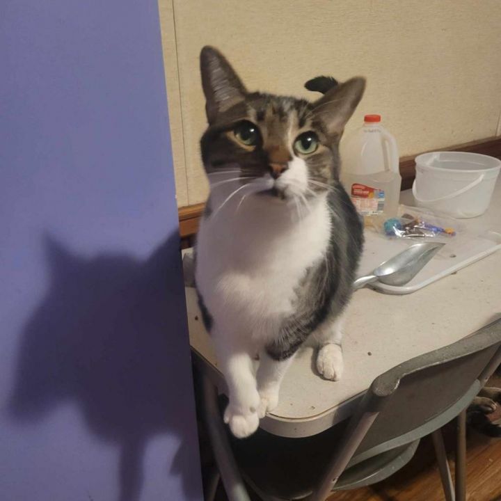 Pretty Boy 2
