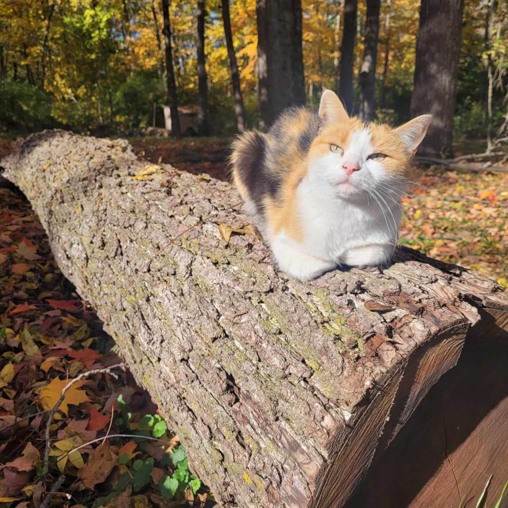 Julie