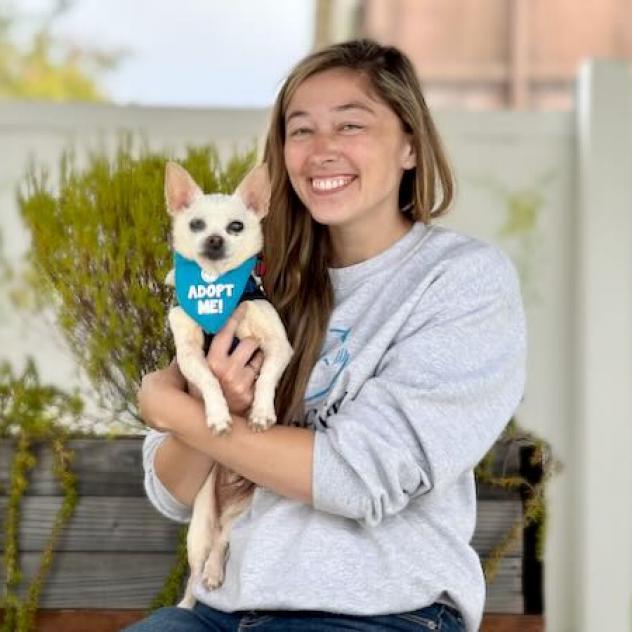 Cider, an adoptable Chihuahua in Pacific Grove, CA, 93950 | Photo Image 4