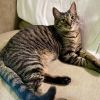 Kaos Litter: PROMETHEUS photo 1