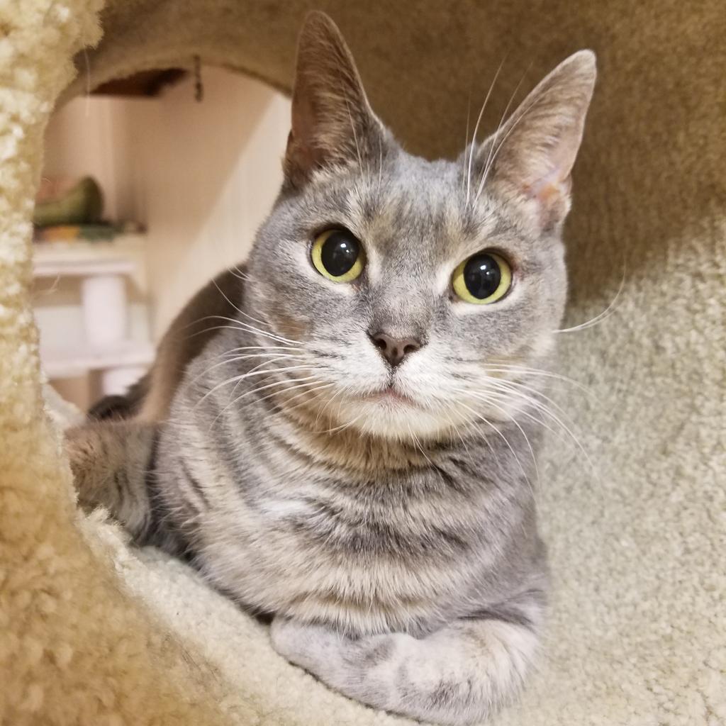Athena