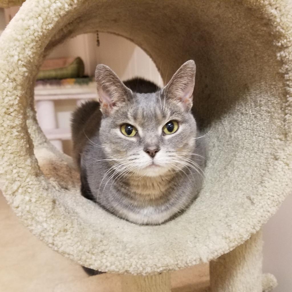 Athena