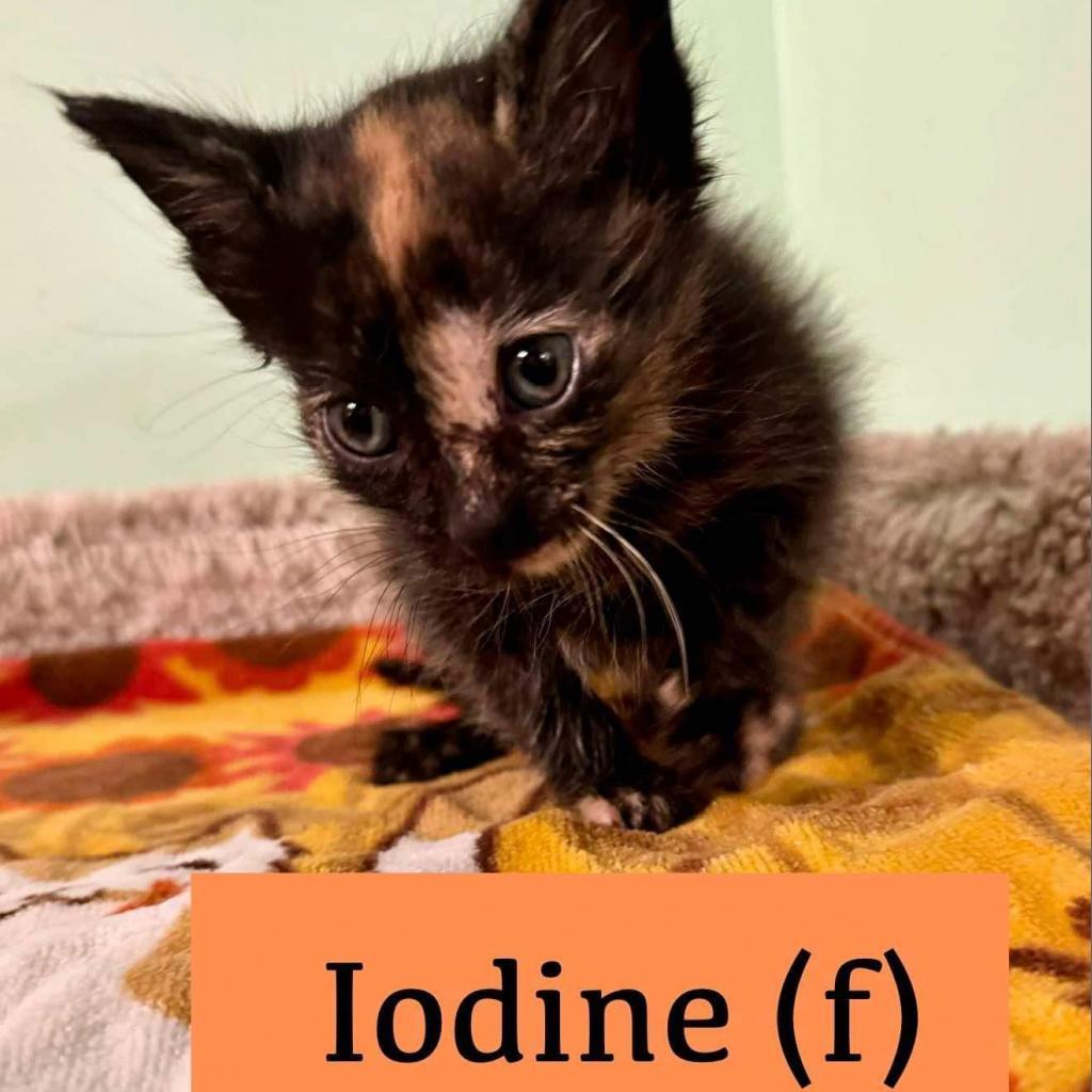 Iodine