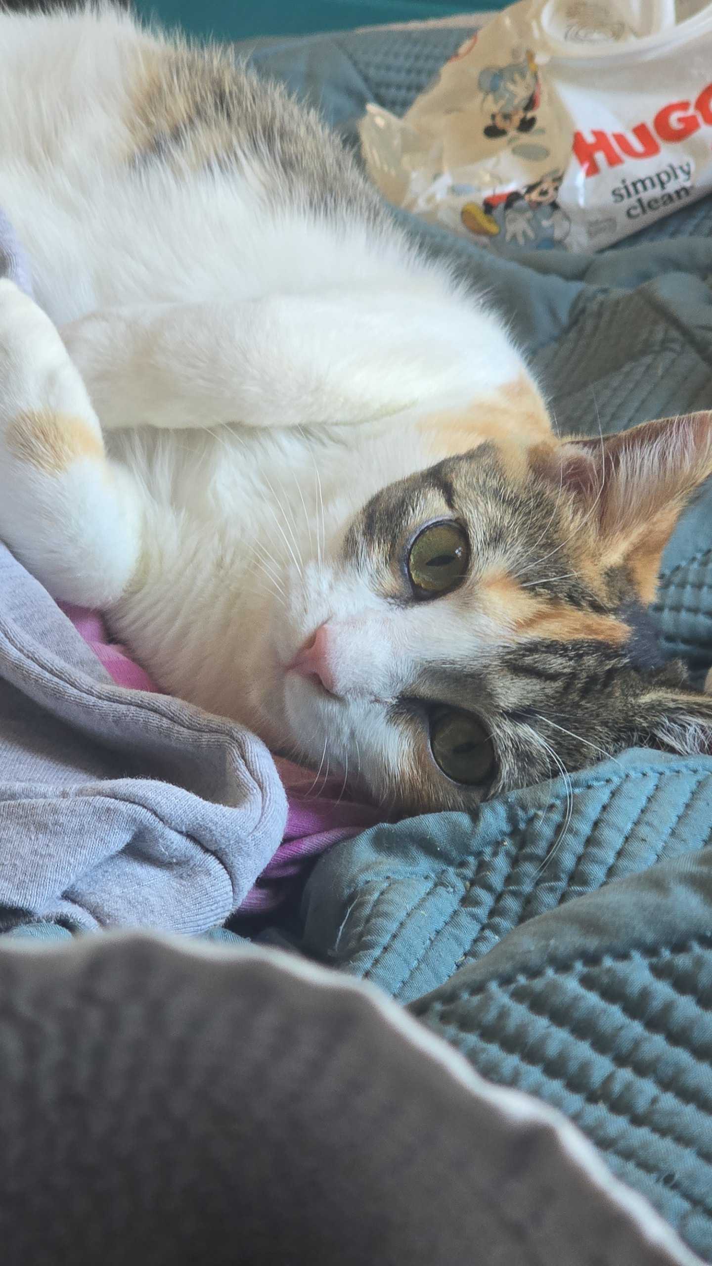 Tina
