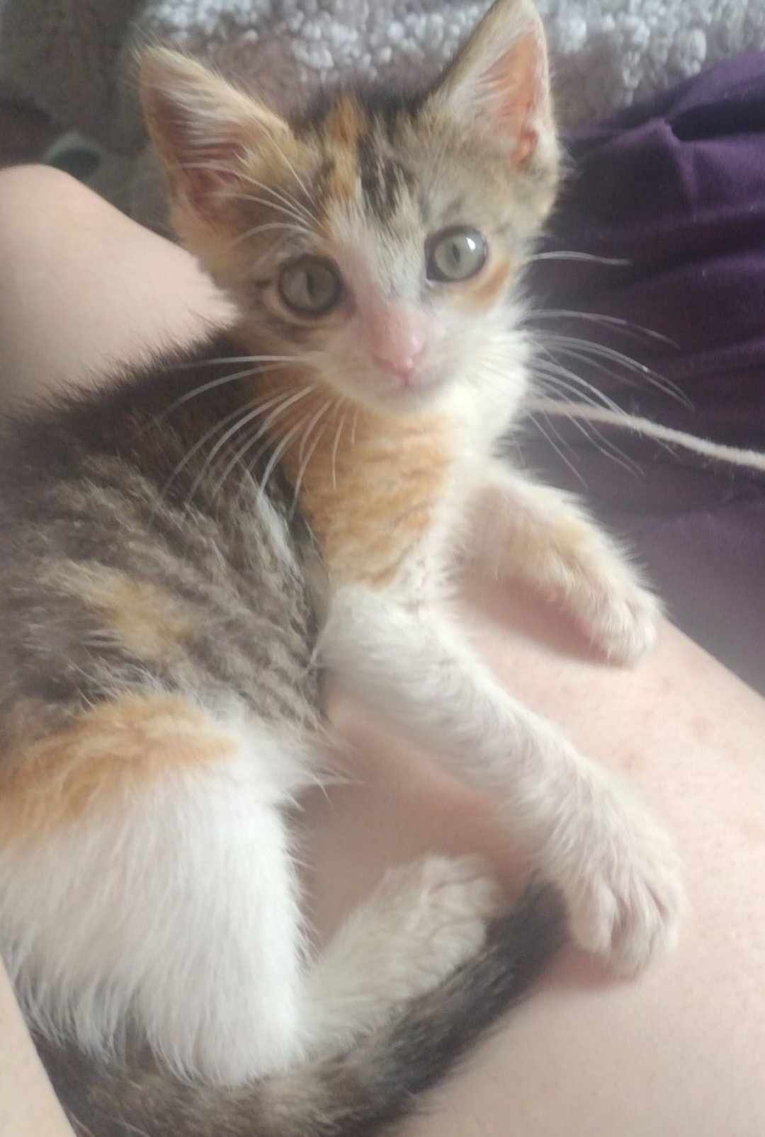 Tina