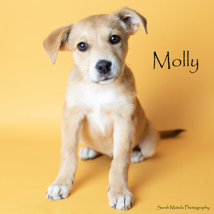 Molly