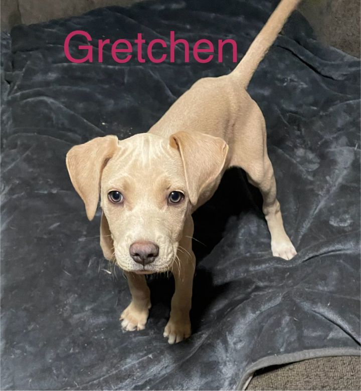 Gretchen 1