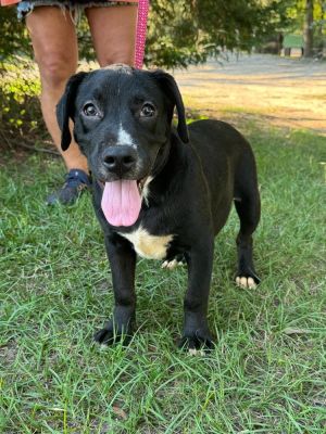 Danner, Baby Male unknown