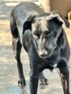 Stitch photo 1