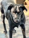 Stitch photo 2