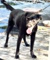 Stitch photo 3