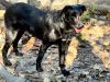 Stitch photo 4