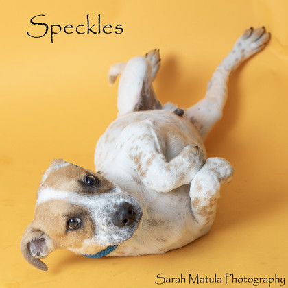 Speckles