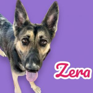 Zera