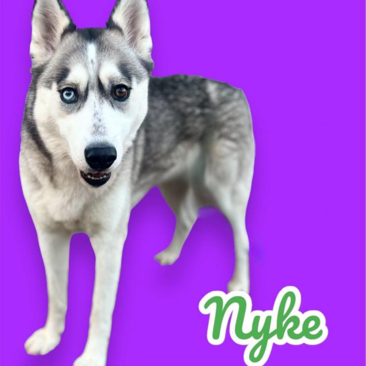 Nyke 1