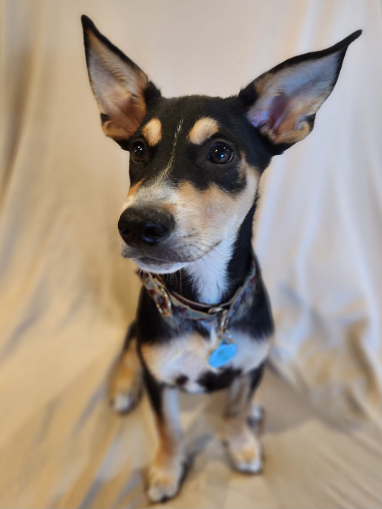Buster