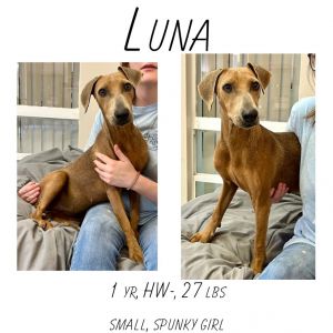 Luna