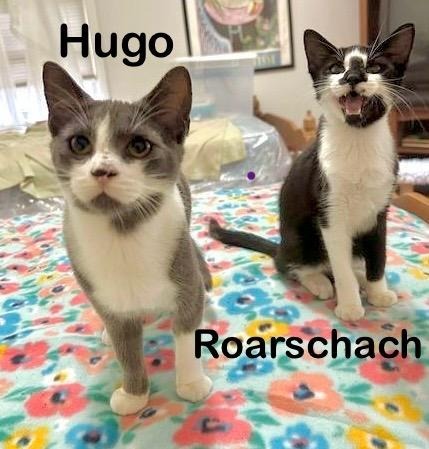 Hugo 3