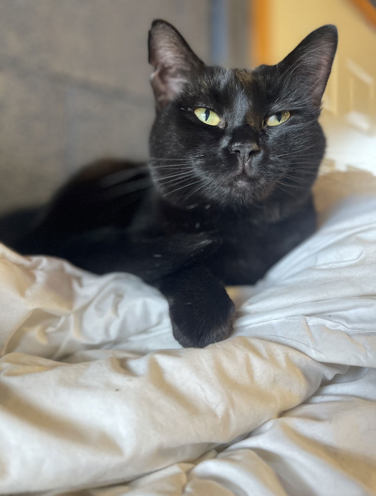 Mabel