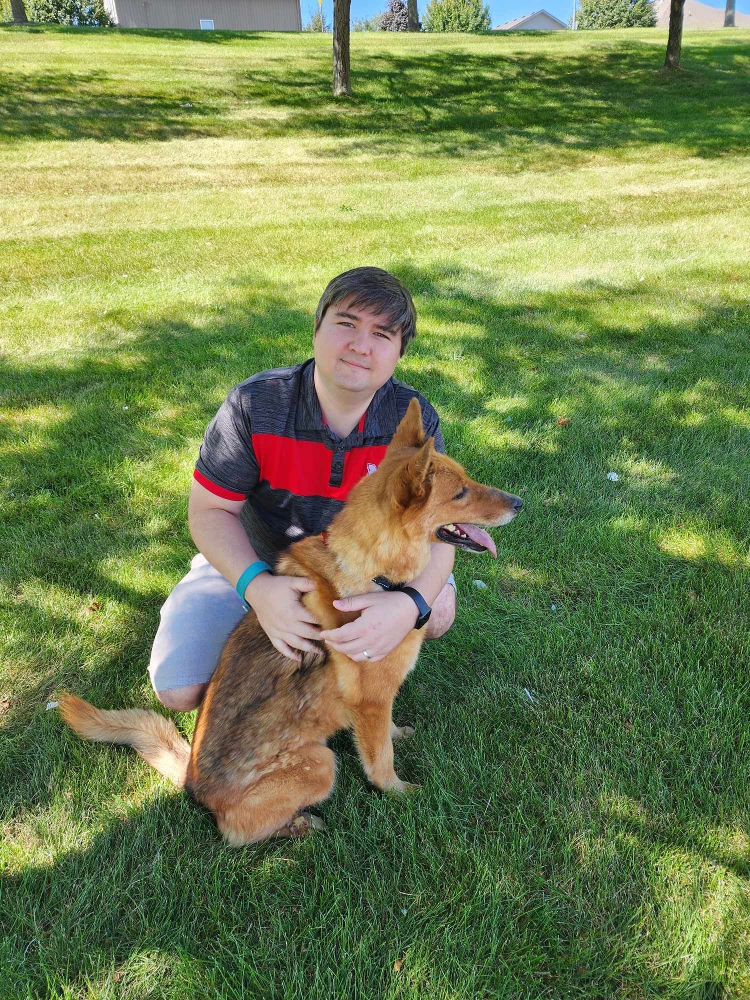 Ronin, an adoptable German Shepherd Dog in Gretna, NE, 68028 | Photo Image 2